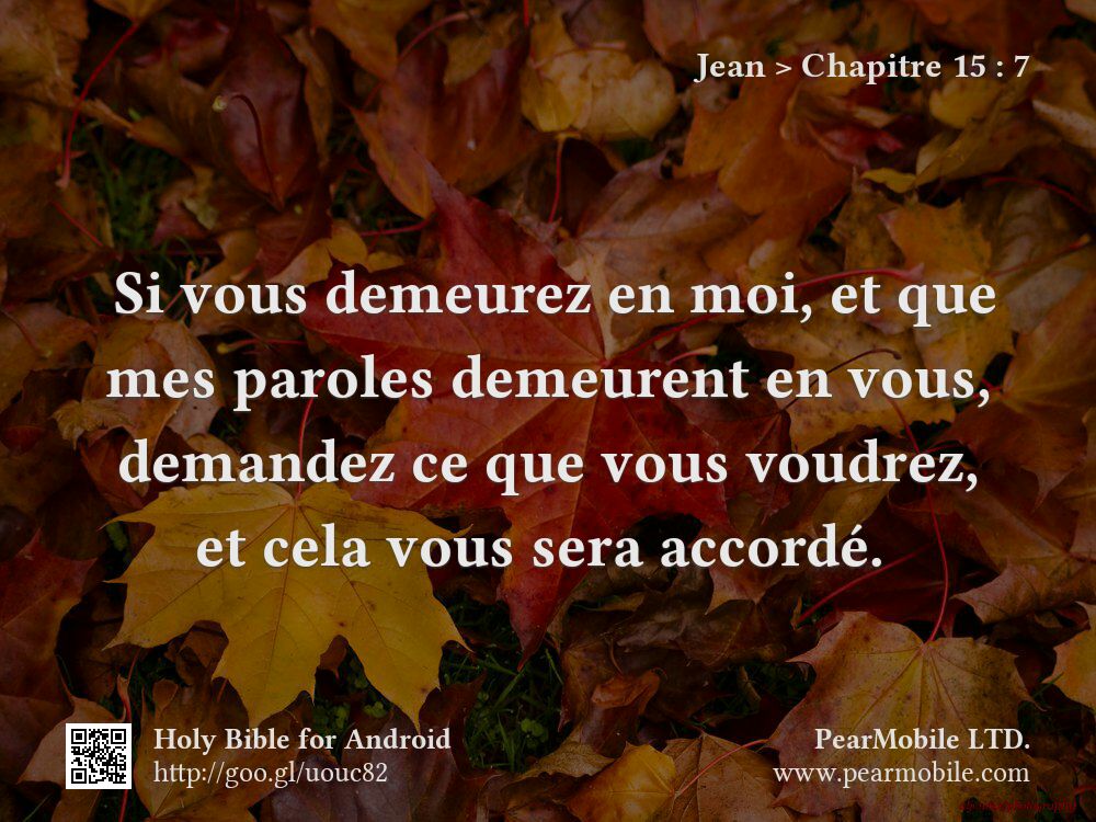 Jean, Chapitre 15:7